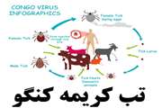محتوای آموزشی و اطلاعاتی مرتبط با تب کریمه کنگو (CCHF)
