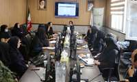 برگزاری کمیته مشترک مرگ داخل و خارج بیمارستانی نوزادان و کودکان 59-1 ماهه 