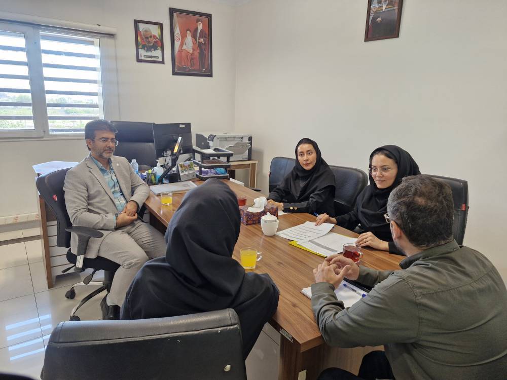 بررسی مشکلات نظام ارجاع به سطح دو و فرایند نوبت‌دهی الکترونیک در بیمارستان سردار سلیمانی شهرستان قدس