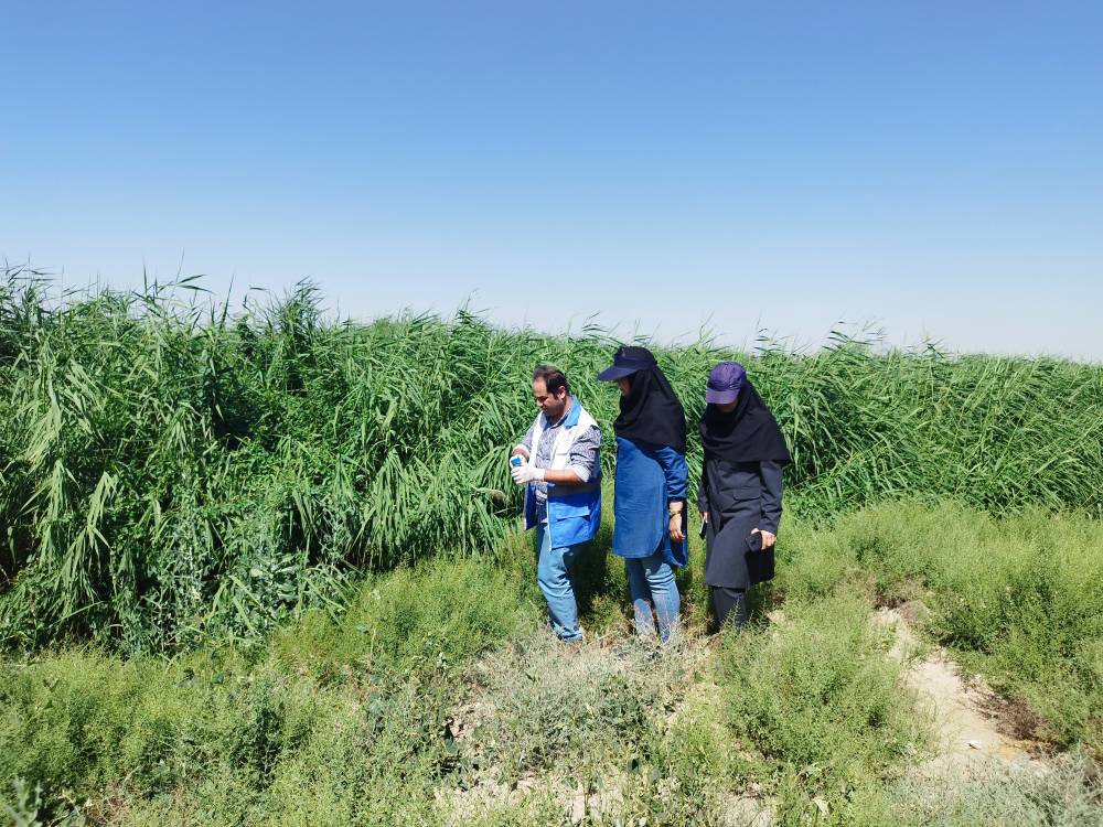 نظارت مشترک بر کیفیت آب آبیاری مزارع کشاورزی شهرستا ن قدس