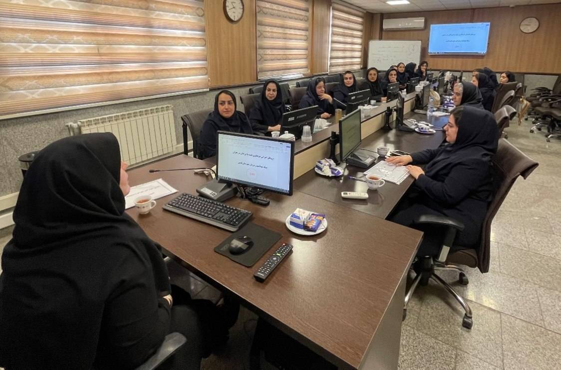برگزاری کارگاه آموزشی «غربالگری پاشنه پا نوزادان در شرایط بحران و جنگ»